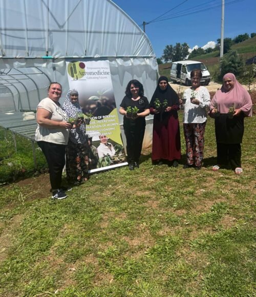 3d01876c-429e-4ac2-ab4c-e5f1028687a6