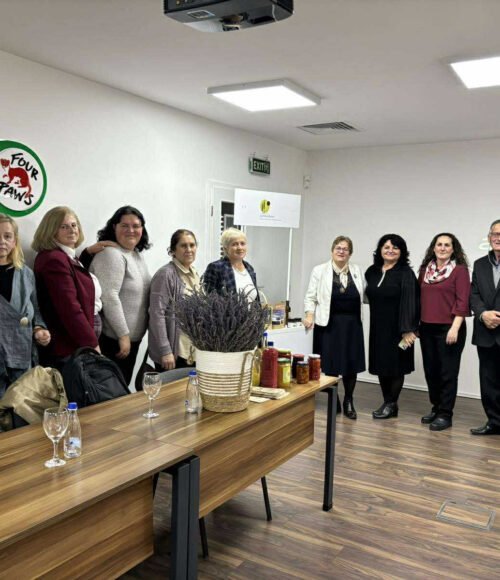 4d9f22cc-2620-4681-a107-8426d1da811a