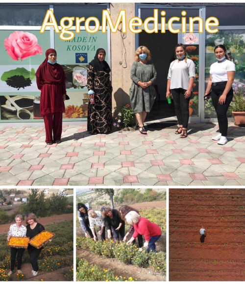 8979a5bd-1da6-4e79-9c1e-b48806b64c8b